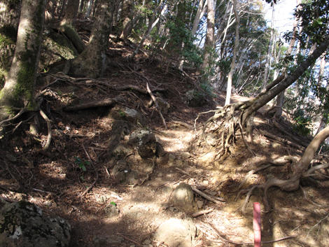 20190108hike (191)